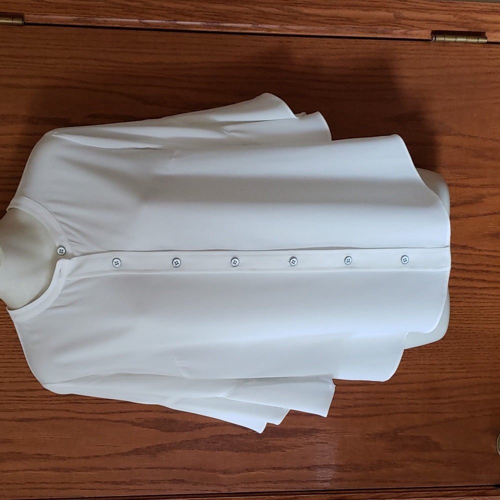 Cabi Float blouse